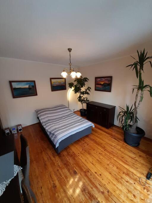 Bronowice- Parter Domu Apartment Krakow Luaran gambar